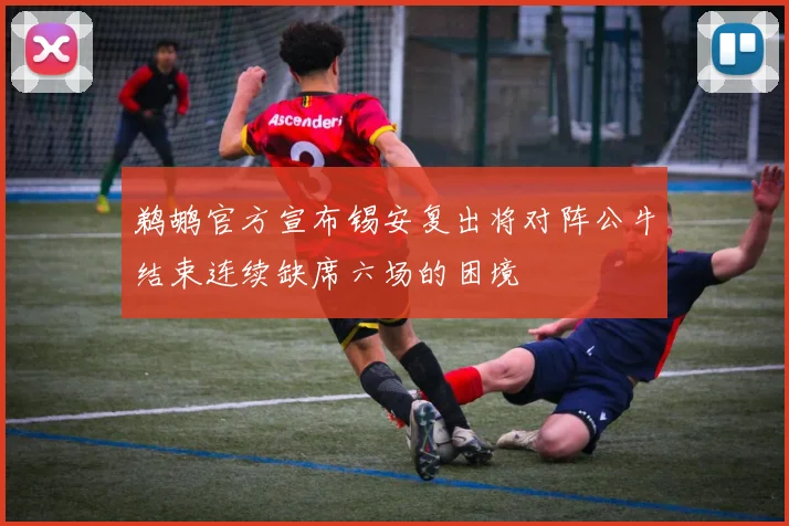 鹈鹕官方宣布锡安复出将对阵公牛结束连续缺席六场的困境