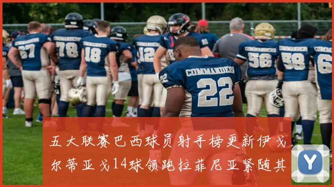 五大联赛巴西球员射手榜更新伊戈尔蒂亚戈14球领跑拉菲尼亚紧随其后