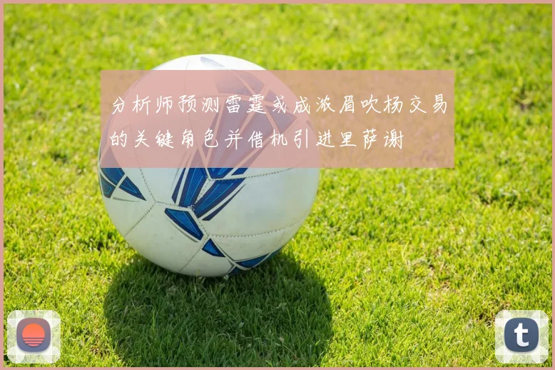 分析师预测雷霆或成浓眉吹杨交易的关键角色并借机引进里萨谢